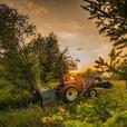 2025 Baumalight MP348 Fixed Tooth Mulcher thumbnail image 8
