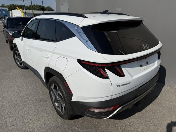 2022 Hyundai Tucson Hybrid Luxury image 3