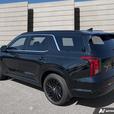 2025 Hyundai Palisade Ultimate Calligraphy thumbnail image 4