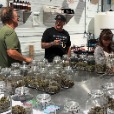 Cannabisresearchstore.com profile image