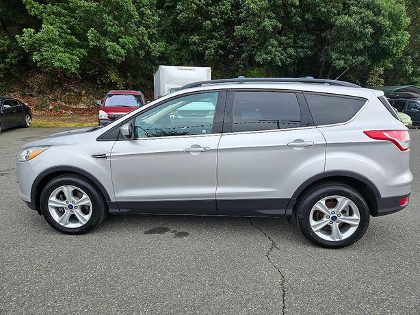 2014 Ford  Escape SE image 4