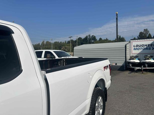 2020 Ford F-150 image 4