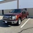 2010 Ford F-150 thumbnail image 3