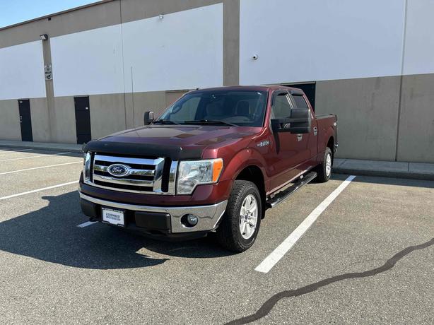 2010 Ford F-150 image 3