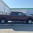 2010 Ford F-150 thumbnail image 5