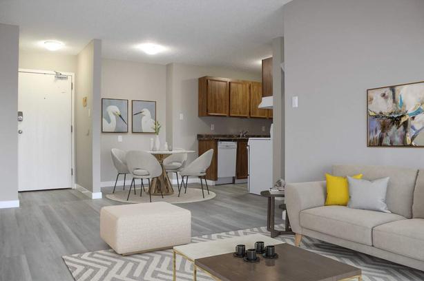 Bachelor Mainstreet Residence image 2