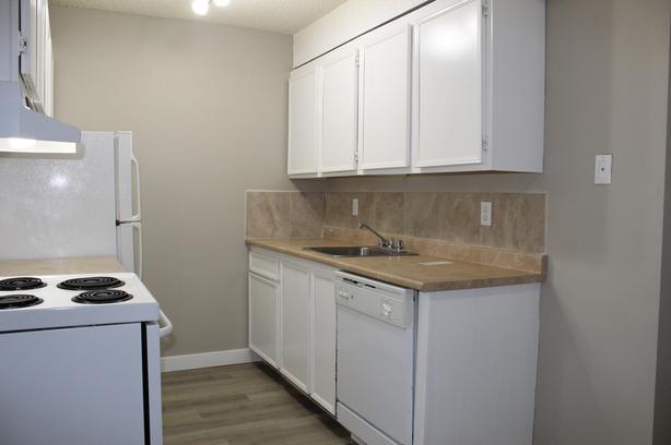 1 bedroom Mainstreet Residence image 6