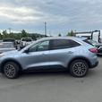 2022 Ford Escape SE Plug-In Hybrid FWD | Keyless Start | Back Up Camera! thumbnail image 3