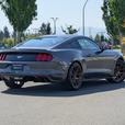 2015 Ford Mustang EcoBoost - Low Mileage,  6-Speed Manual thumbnail image 6