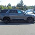 2024 Hyundai Palisade 7 Passenger thumbnail image 5