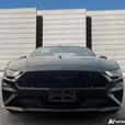 2021 FORD MUSTANG thumbnail image 2
