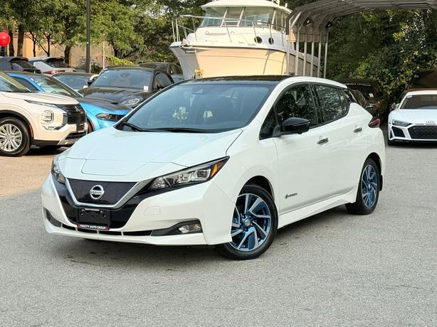 2019 Nissan LEAF image 1