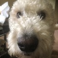 user_2458208 profile image