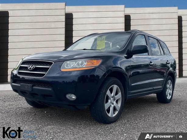2009 HYUNDAI SANTA FE image 1