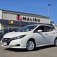 2019 Nissan LEAF S Hatchback thumbnail image 8