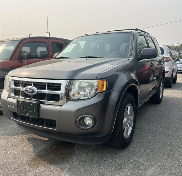 2009 Ford Escape XLT image 1