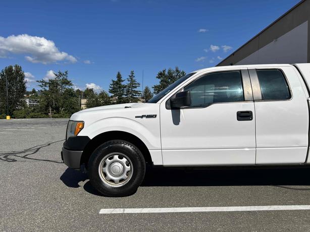 2010 Ford F-150 image 6