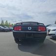 2006 Ford Mustang GT thumbnail image 5