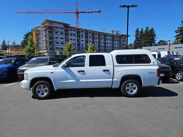 2010 Dodge Dakota 4WD Crew Cab SXT | Cruise Control! image 3