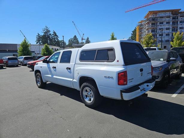2010 Dodge Dakota 4WD Crew Cab SXT | Cruise Control! image 4