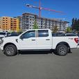 2021 Ford F-150 thumbnail image 3