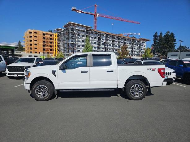 2021 Ford F-150 image 3