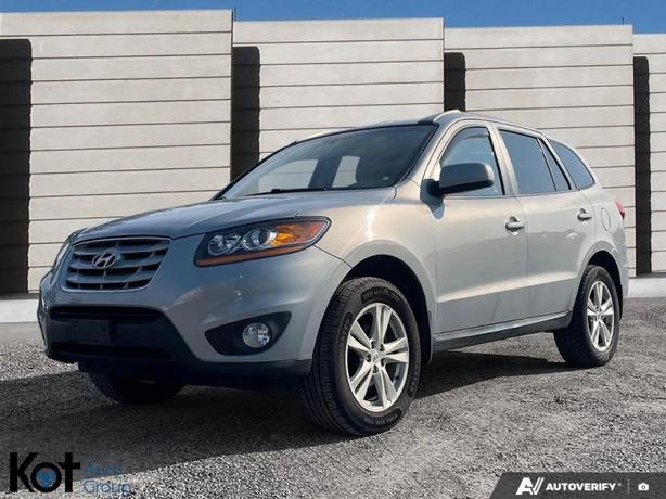 2010 HYUNDAI SANTA FE image 1