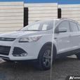 2013 FORD ESCAPE thumbnail image