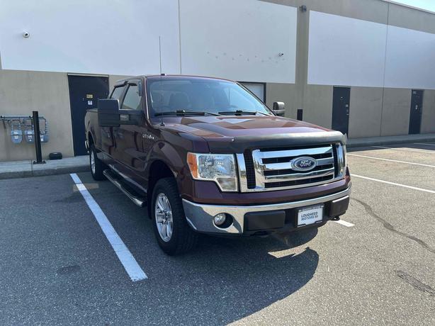 2010 Ford F-150 image 1