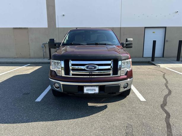 2010 Ford F-150 image 2