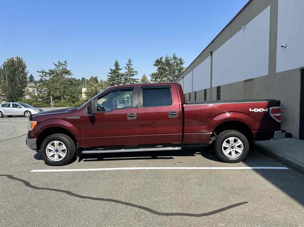 2010 Ford F-150 image 4