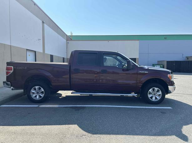 2010 Ford F-150 image 5
