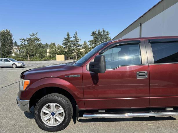 2010 Ford F-150 image 6