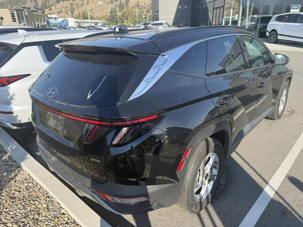2024 Hyundai Tucson Trend image 3