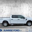 2024 Ford F-150 XL DEMO DISCOUNT $14545.00!!! demo thumbnail image 4