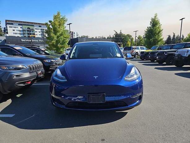 2023 Tesla Model Y Long Range image 2