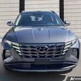 2024 Hyundai Tucson Trend NAVIGATION! LEATHER SEATS! BLUETOOTH! thumbnail image 2