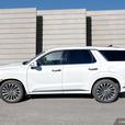 2025 Hyundai Palisade Ultimate Calligraphy thumbnail image 3