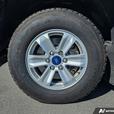 2020 Ford F-150 XLT 4WD SuperCab 6.5' Box | One Owner | No Accidents! thumbnail image 6