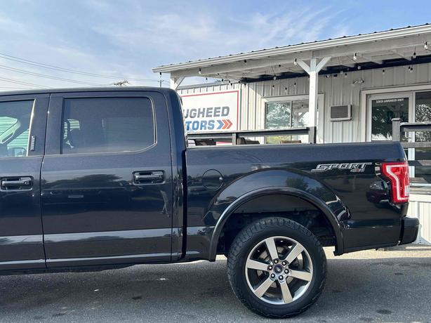 2015 Ford F-150 image 5
