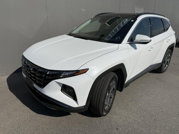 2022 Hyundai Tucson Hybrid Luxury image 2