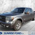 2014 Ford F-150 FX4 thumbnail image 3