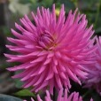 user_992211 profile image