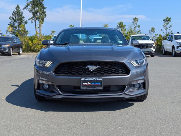 2015 Ford Mustang EcoBoost - Low Mileage,  6-Speed Manual image 3
