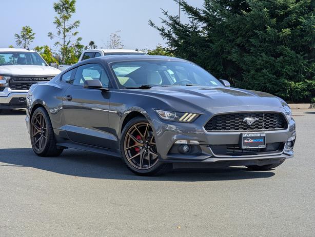 2015 Ford Mustang EcoBoost - Low Mileage,  6-Speed Manual image 4