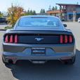2015 Ford Mustang EcoBoost - Low Mileage, 6-Speed Manual thumbnail image 7