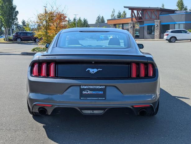2015 Ford Mustang EcoBoost - Low Mileage,  6-Speed Manual image 7
