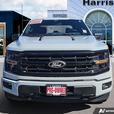 2024 Ford F-150 XLT 4WD SuperCrew 5.5' Box | No Reported Accidents | Low KM! thumbnail image 2