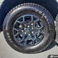 2024 Ford F-150 XLT 4WD SuperCrew 5.5' Box | No Reported Accidents | Low KM! thumbnail image 6
