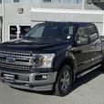 2020 Ford F-150 XLT 4WD - Trailer Backup Assist & Back Up Camera thumbnail image